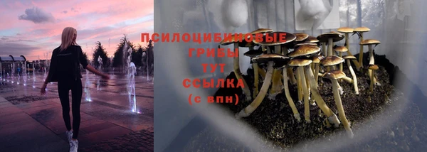 круглые Белокуриха