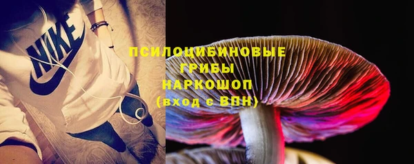 круглые Белокуриха